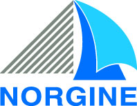 Norgine logo CMYK